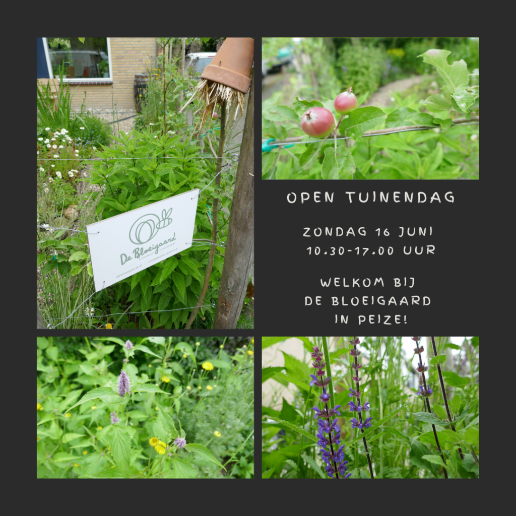 Open tuinen dag 16 juni bij De Bloeigaard