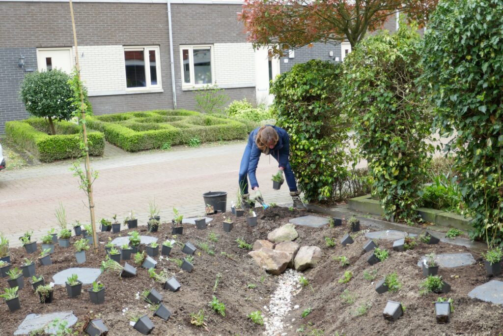 Aanplanting door De Bloeigaard