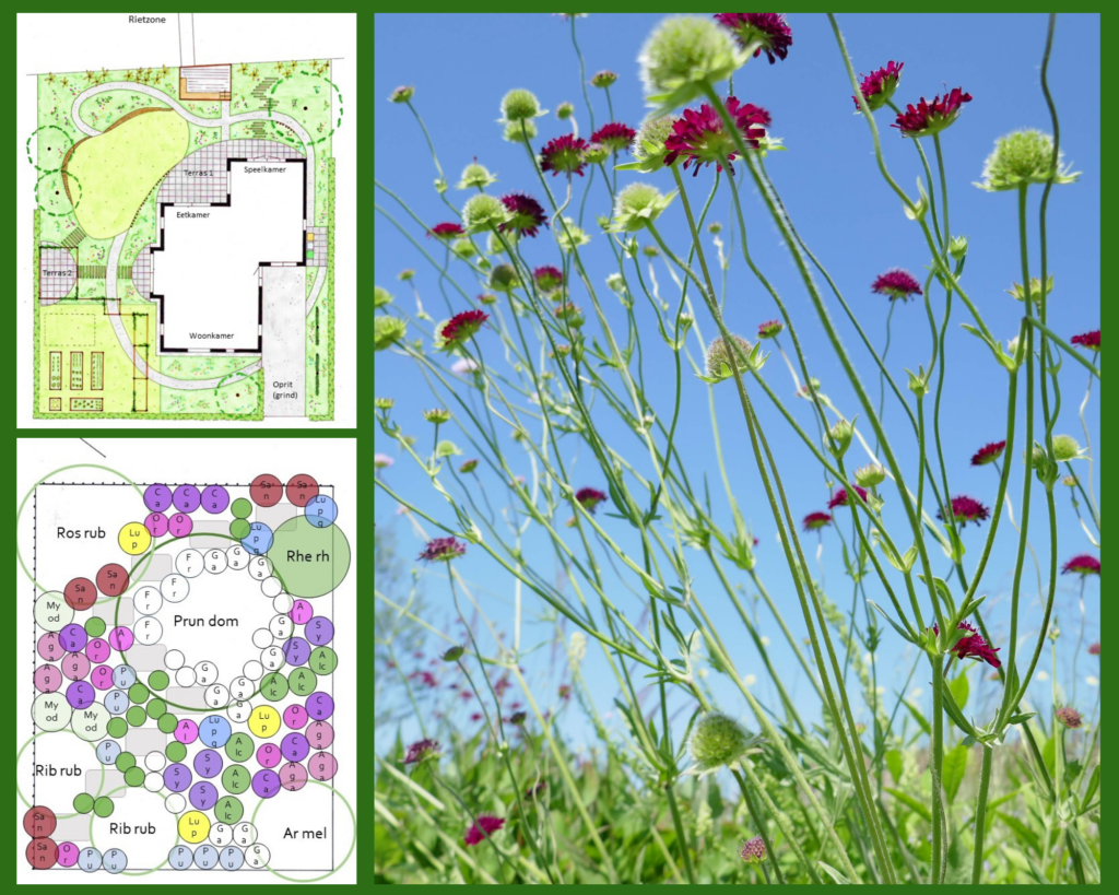 Volledig tuinontwerp met beplantingsplan van De Bloeigaard