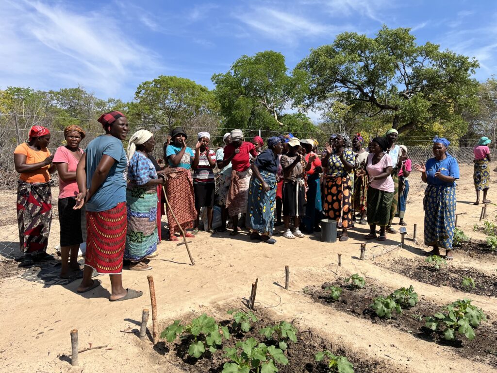 De Bloeigaard wordt partner van Mpilo Foundation en draagt bij aan de realisatie van voedseltuinen in Zimbabwe