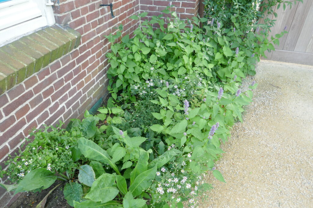 Achterhoeks padvast als halfverharding in een tuin