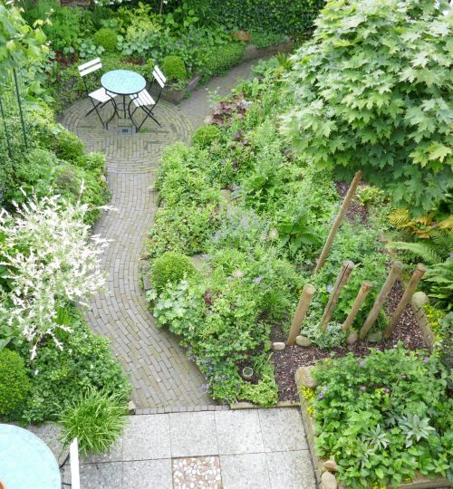 Veel verschillende bladvormen in een kleine tuin