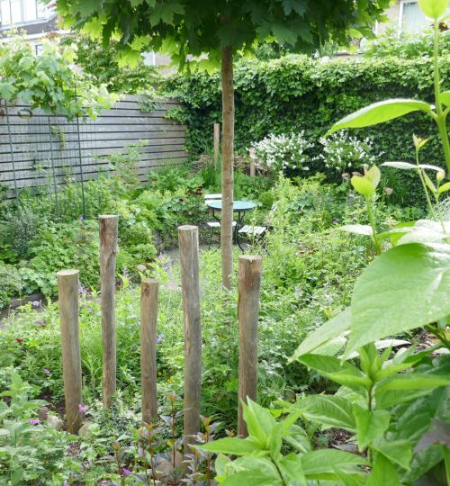 Een kleine achtertuin
