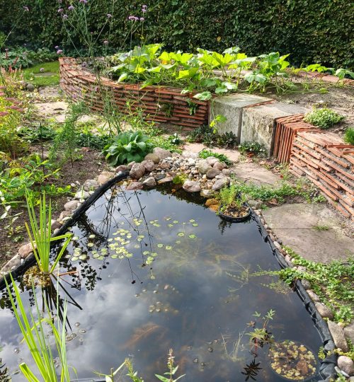 Een vijver voor meer biodiversiteit en een zitje in de stapelmuur