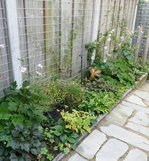 Schaduwborder in een kleine tuin