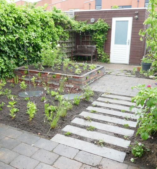 Een kleine stadstuin met stapstenen