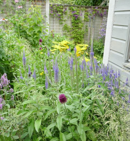 Weelderige beplanting