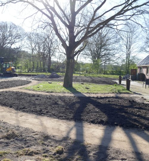 Aanleg biodiverse tuin, ontworpen door De Bloeigaard
