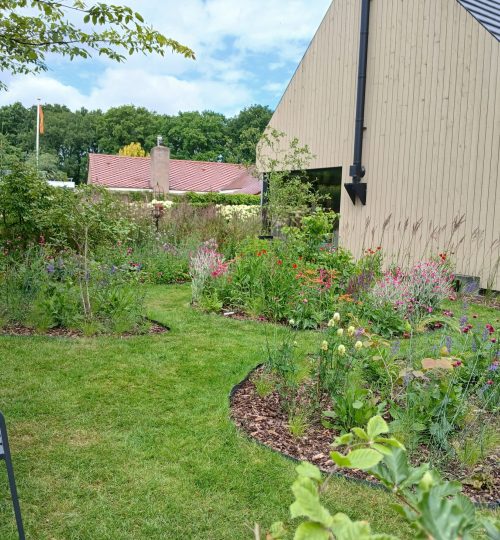 Eerste groeiseizoen van een bloemeneilandentuin